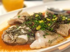 -南麓·浙里(外滩店)