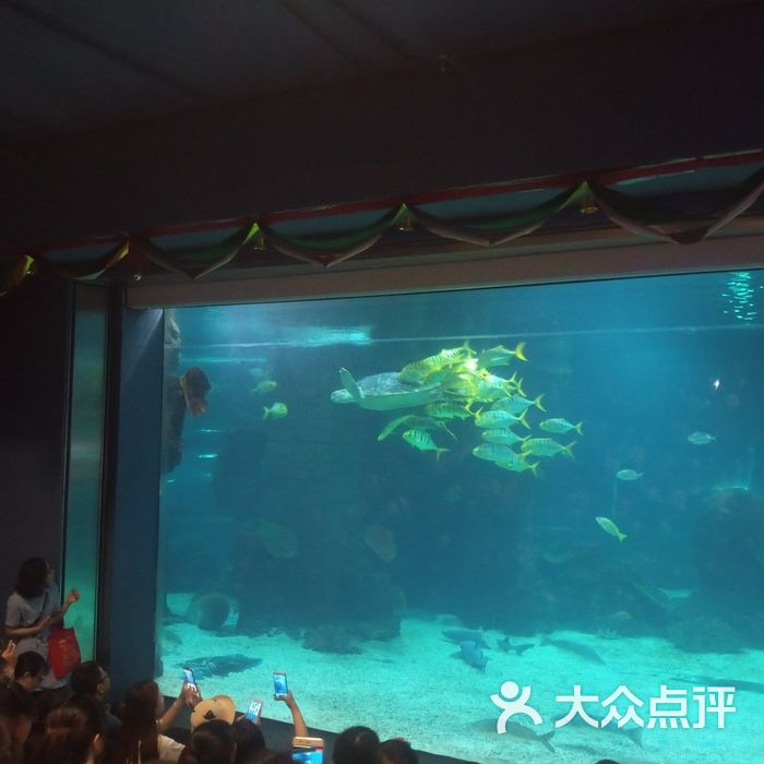 石家庄海悦天地海洋公园图片-北京海洋馆-大众点评网