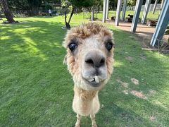 -东南花都花博园