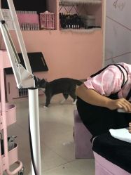 -Pink You美甲美睫纹绣定制中心