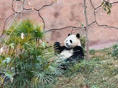 -乐和乐都主题乐园