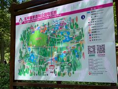 -东平国家森林公园