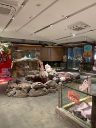 -造物庄园 萌宠纪(苏州湾歌林公园店)