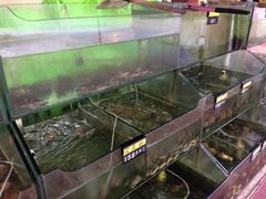 水产区-四海鲜渔家菜(黄金海岸店)