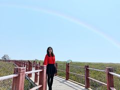 -北海金海湾红树林生态旅游区