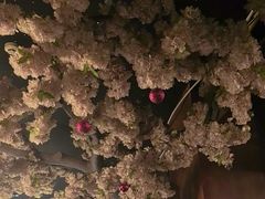 -福禧荟·海鲜自助