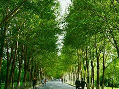 -吉林大学(南岭校区)