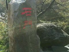 -少华山国家森林公园