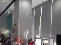 -天鹅到家·保姆月嫂育儿嫂(总店)