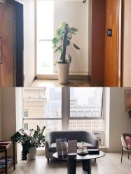 -明宇集团·积木枝芽母婴健康管理中心(天府店)