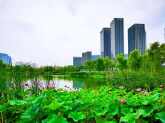 -西海子公园