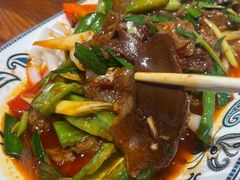 -柴窝堡22号辣子鸡·传承新疆菜