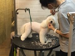 -PETKIT小佩宠物(古北店)