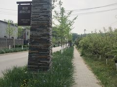 -东郊湿地公园