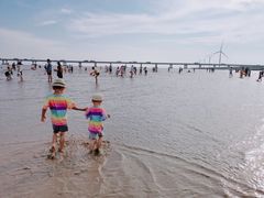 -南汇嘴观海公园