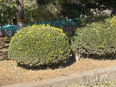 -北京十三陵国家森林公园蟒山景区