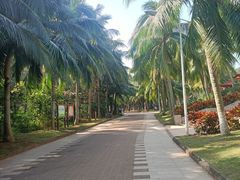 -白沙门生态公园