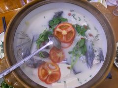 -全乐鱼馆·淳牌有机鱼直营店