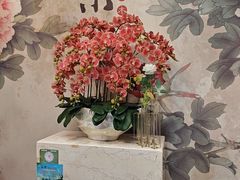 -九紫烤鸭·津粤菜(意式风情街店)