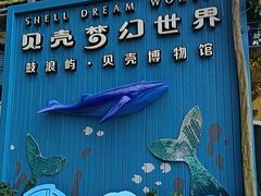 -贝壳梦幻世界