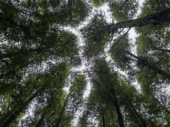 -山王坪喀斯特国家生态公园