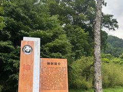 -卧龙中华大熊猫苑神树坪基地