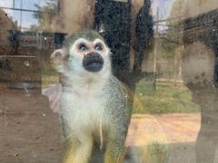 -石家庄市动物园