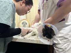 -宠爱国际动物医院·消化内科·心肾内科·ISFM猫友好(望京店)