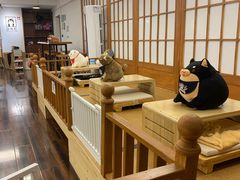 -豆柴町-柴犬主题狗咖(红鼎国际C座店)