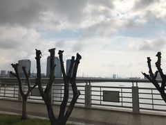 -艾溪湖湿地公园