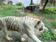 -杭州野生动物世界