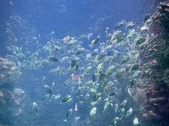 -海合安青岛极地海洋公园