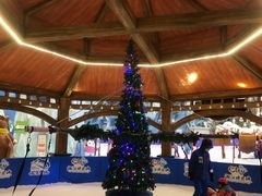 -长沙湘江冰雪世界