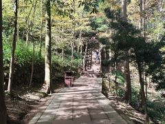 -凤栖山