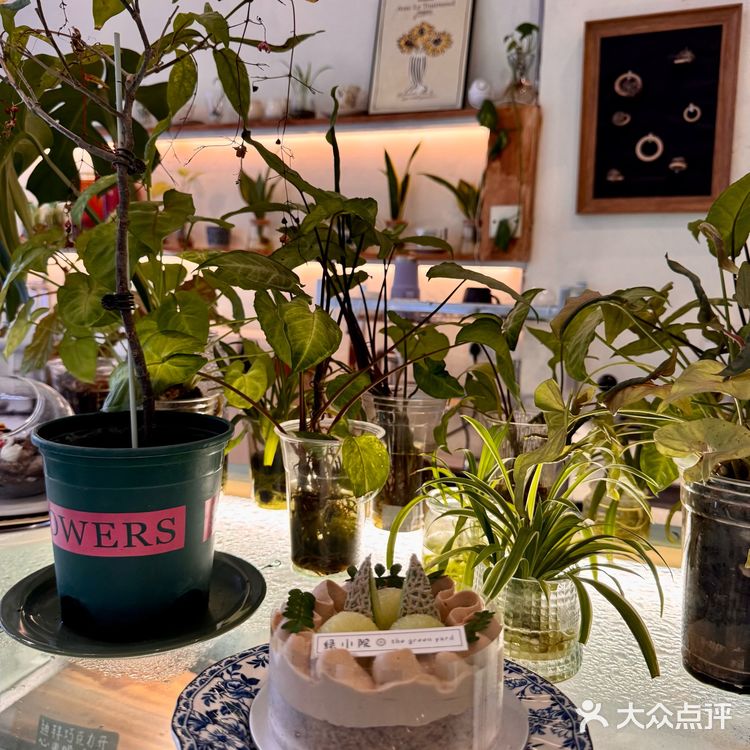 在广州‼️请收下这份春日小浪漫…