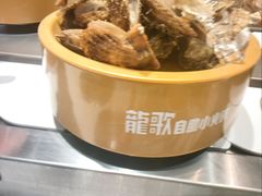 -龍歌自助小火锅(城阳万象汇店)