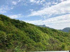 -内乡宝天曼生态旅游区