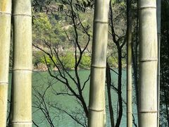 -原乡芦茨咖啡
