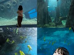 -福州罗源湾海洋世界旅游区