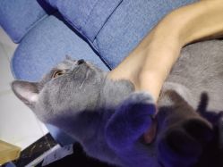 -BBVR团建聚会体验馆·亲子DIY手工