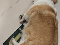-平行世界·猫咖(首经贸店)