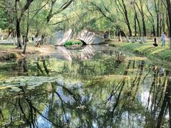 -长白岛森林公园