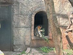 -南昌动物园