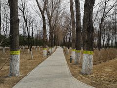 -大兴滨河森林公园