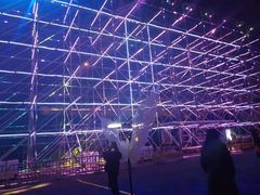 -锦江乐园舞狸花花游园会(夜场专享)