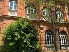 -复旦大学附属华山医院(总院)