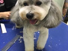 -沐沐家宠物(成寿寺店)