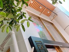 -伏小桃(明瓦廊店)