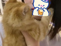 -纳吉亚猫专科动物医院博雅分院