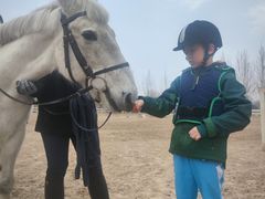 -北京群众马术培训基地